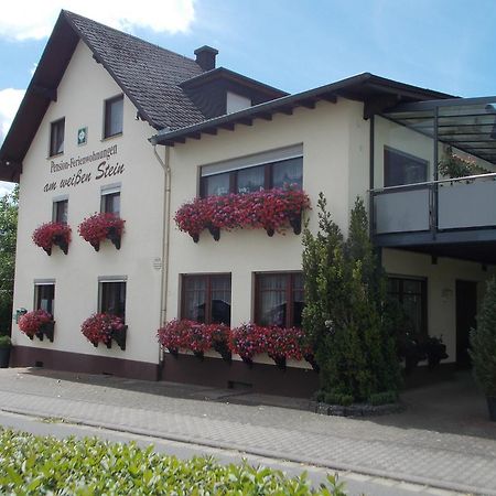 Gaestehaus "Am Weissen Stein" Cochem Buitenkant foto